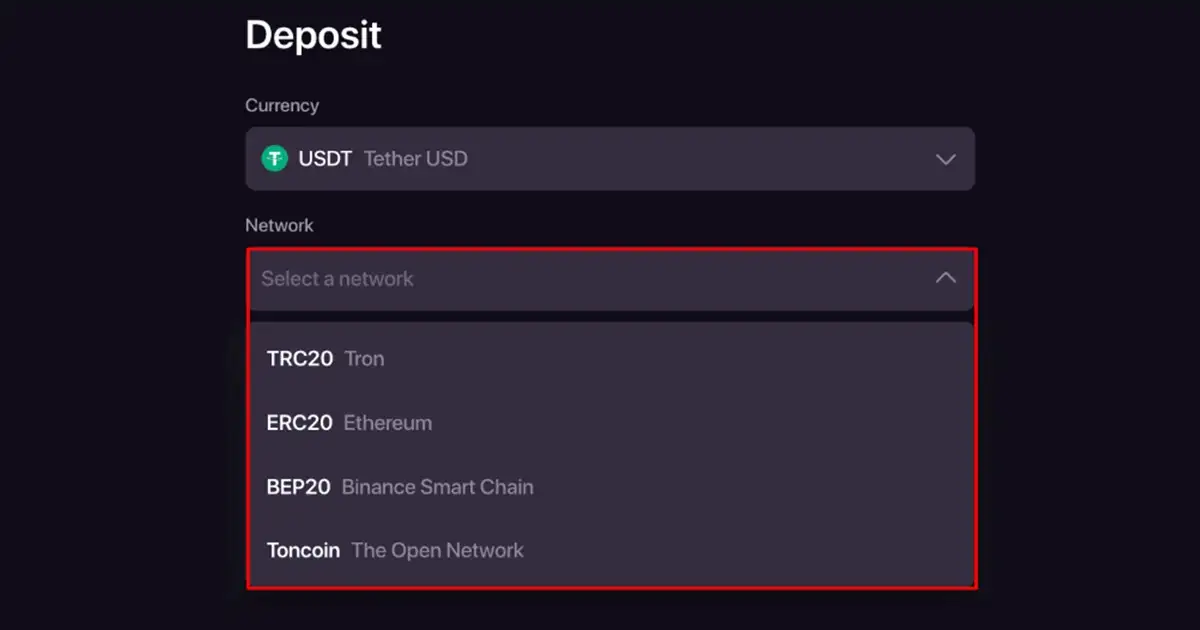 หน้าฝากคริปโต CHEXX ที่แสดง asset และ network selector